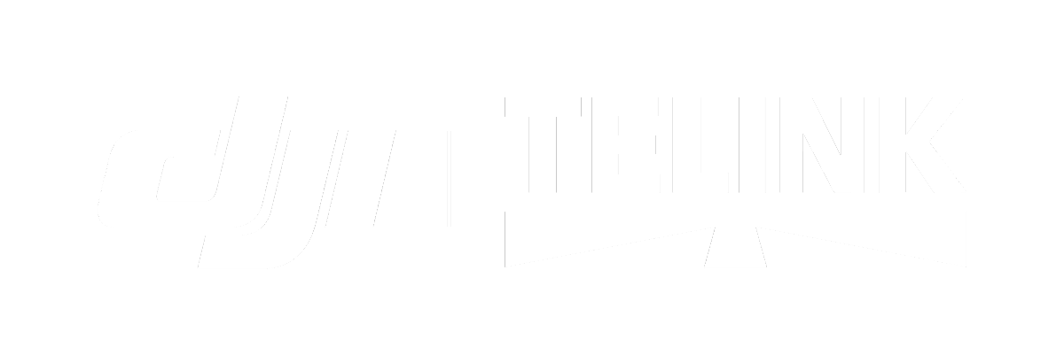 DJI TELINK